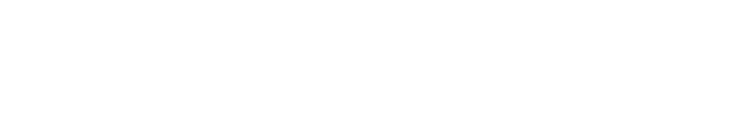 WebInklusion.de